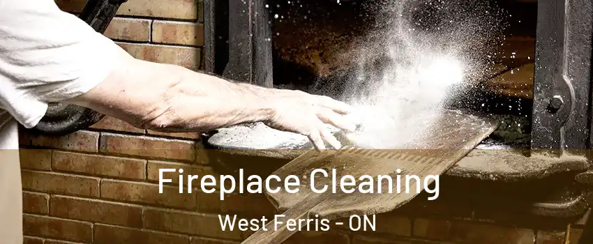  Fireplace Cleaning West Ferris - ON