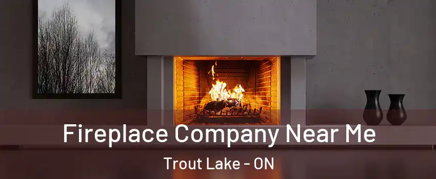  Fireplace Company Near Me Trout Lake - ON