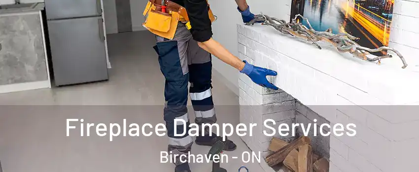  Fireplace Damper Services Birchaven - ON