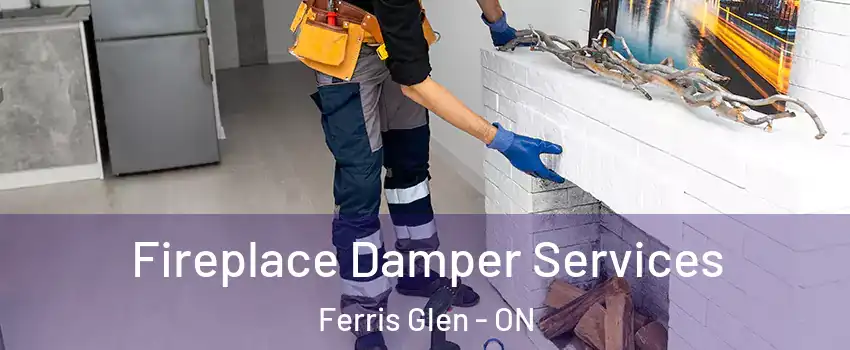  Fireplace Damper Services Ferris Glen - ON