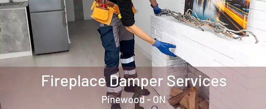  Fireplace Damper Services Pinewood - ON