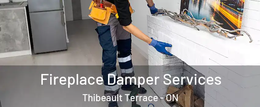 Fireplace Damper Services Thibeault Terrace - ON