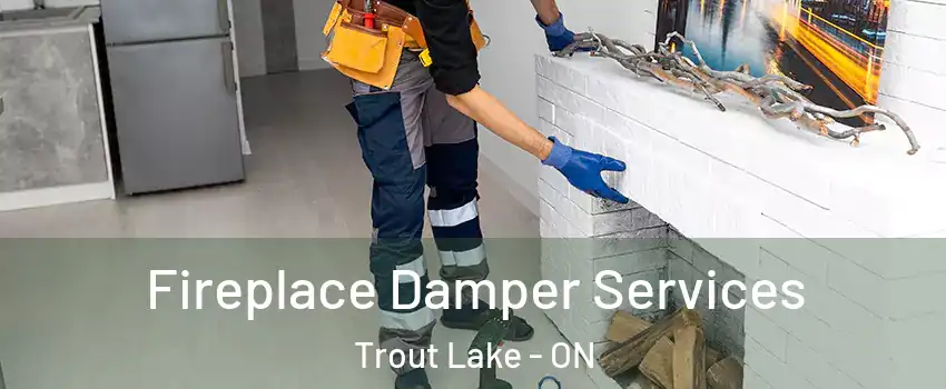  Fireplace Damper Services Trout Lake - ON