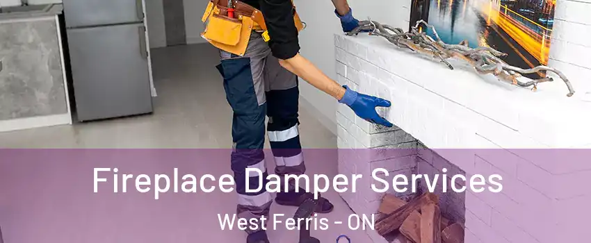  Fireplace Damper Services West Ferris - ON