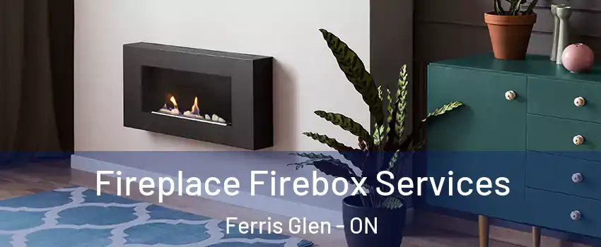  Fireplace Firebox Services Ferris Glen - ON