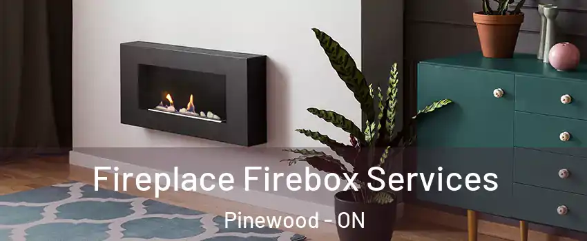  Fireplace Firebox Services Pinewood - ON