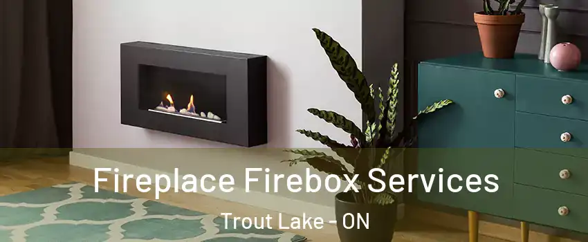  Fireplace Firebox Services Trout Lake - ON