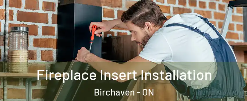  Fireplace Insert Installation Birchaven - ON