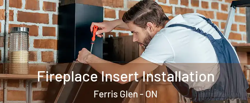  Fireplace Insert Installation Ferris Glen - ON