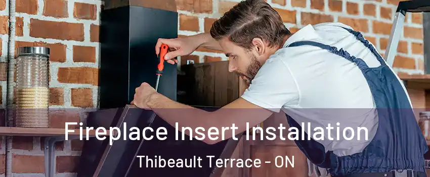  Fireplace Insert Installation Thibeault Terrace - ON