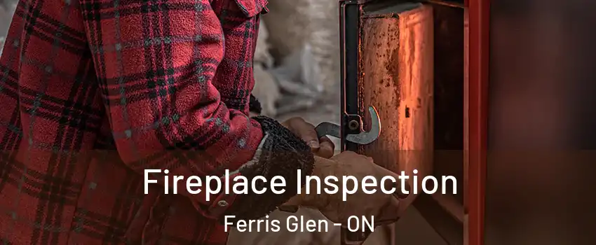  Fireplace Inspection Ferris Glen - ON