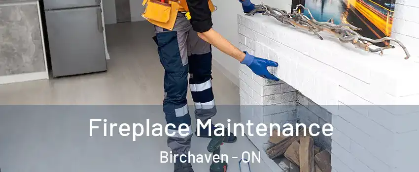  Fireplace Maintenance Birchaven - ON