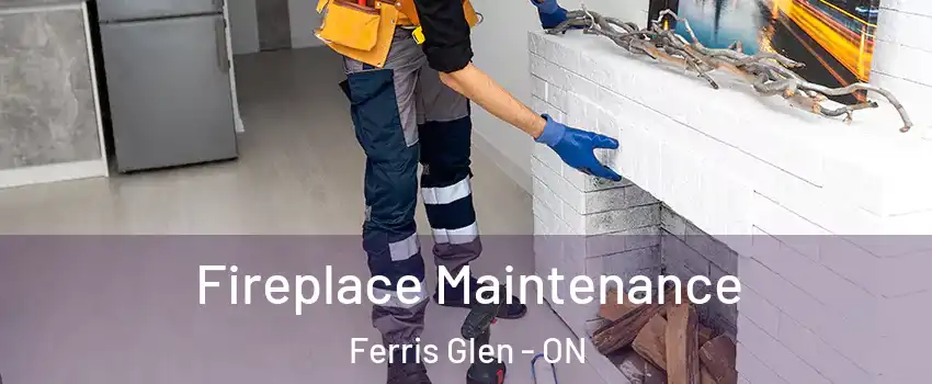  Fireplace Maintenance Ferris Glen - ON