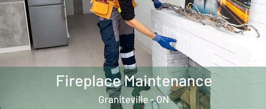  Fireplace Maintenance Graniteville - ON