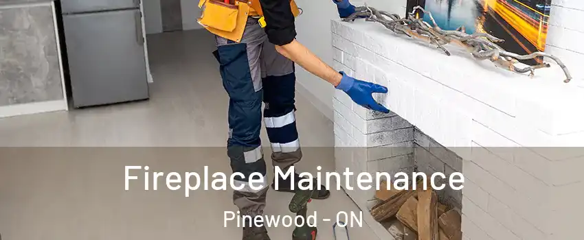  Fireplace Maintenance Pinewood - ON