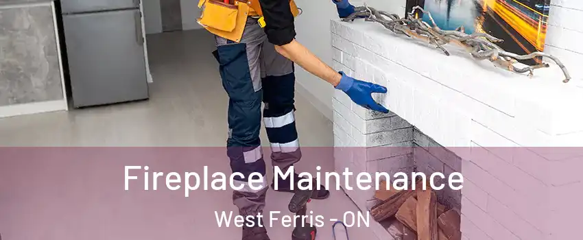  Fireplace Maintenance West Ferris - ON