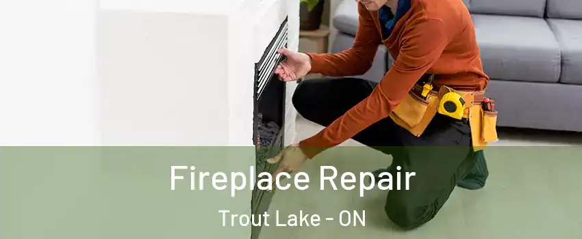  Fireplace Repair Trout Lake - ON