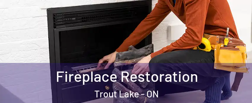 Fireplace Restoration Trout Lake - ON