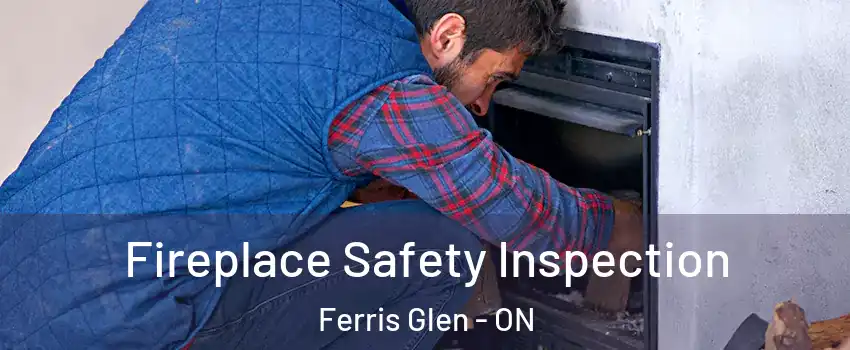 Fireplace Safety Inspection Ferris Glen - ON