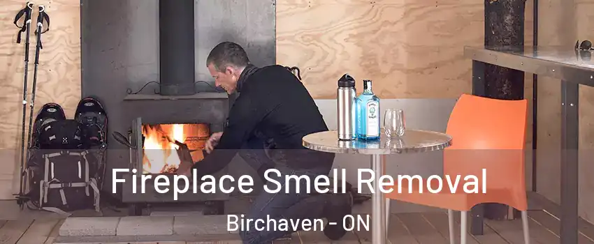  Fireplace Smell Removal Birchaven - ON