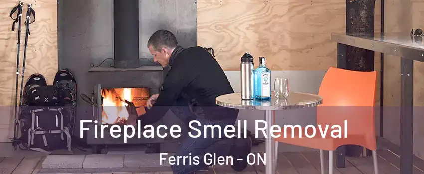  Fireplace Smell Removal Ferris Glen - ON
