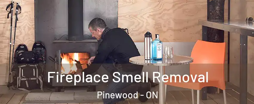  Fireplace Smell Removal Pinewood - ON