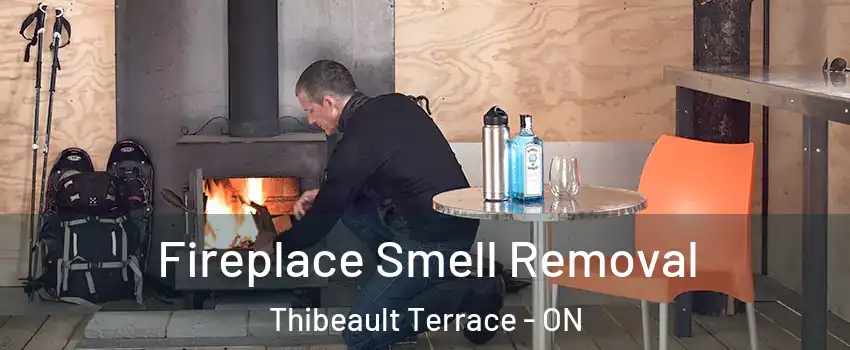  Fireplace Smell Removal Thibeault Terrace - ON