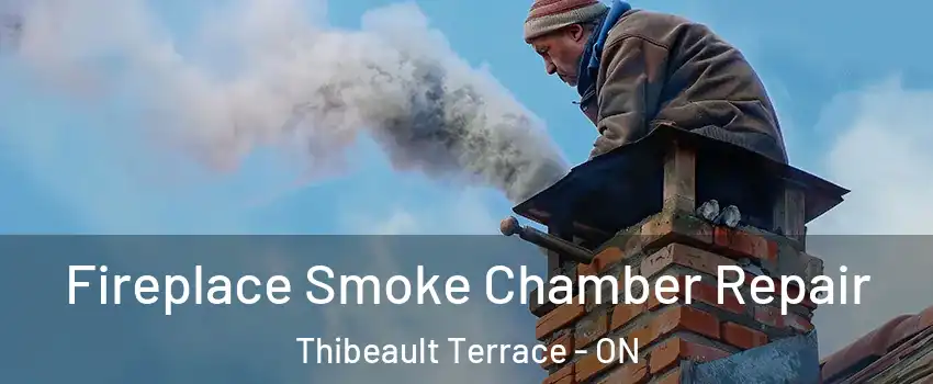  Fireplace Smoke Chamber Repair Thibeault Terrace - ON