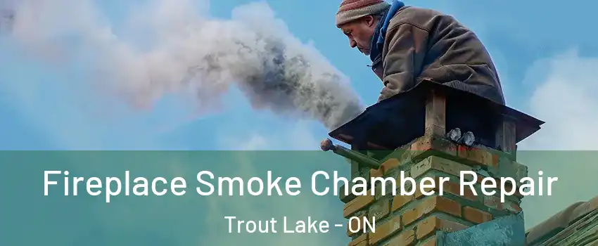  Fireplace Smoke Chamber Repair Trout Lake - ON