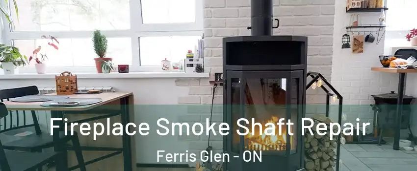  Fireplace Smoke Shaft Repair Ferris Glen - ON