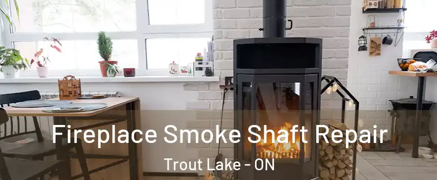  Fireplace Smoke Shaft Repair Trout Lake - ON