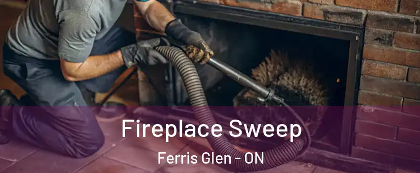  Fireplace Sweep Ferris Glen - ON