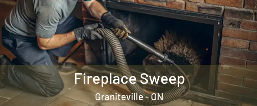  Fireplace Sweep Graniteville - ON