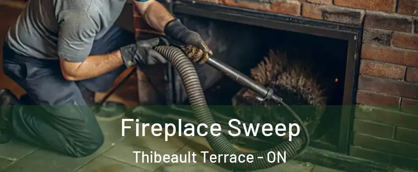  Fireplace Sweep Thibeault Terrace - ON