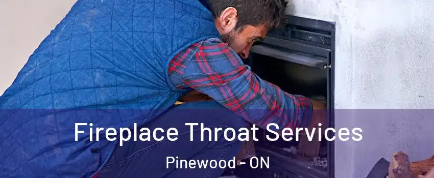  Fireplace Throat Services Pinewood - ON
