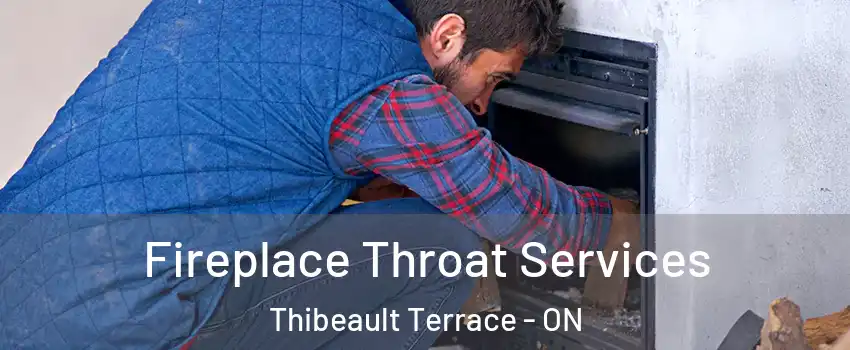  Fireplace Throat Services Thibeault Terrace - ON