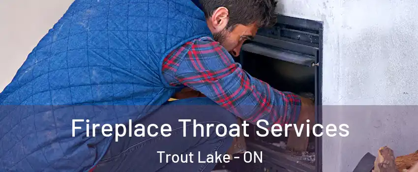  Fireplace Throat Services Trout Lake - ON