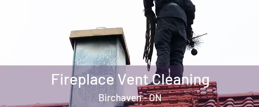  Fireplace Vent Cleaning Birchaven - ON