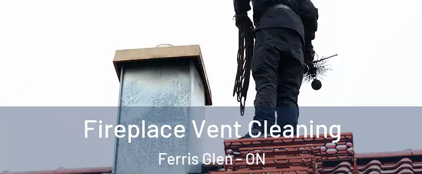  Fireplace Vent Cleaning Ferris Glen - ON