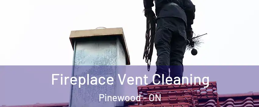  Fireplace Vent Cleaning Pinewood - ON