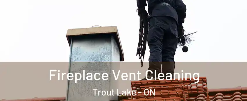  Fireplace Vent Cleaning Trout Lake - ON