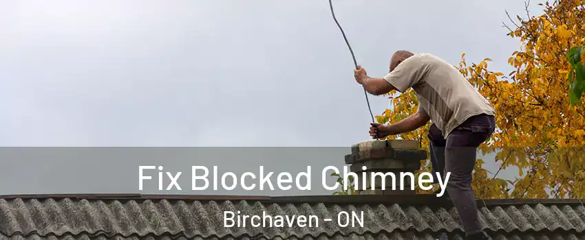  Fix Blocked Chimney Birchaven - ON