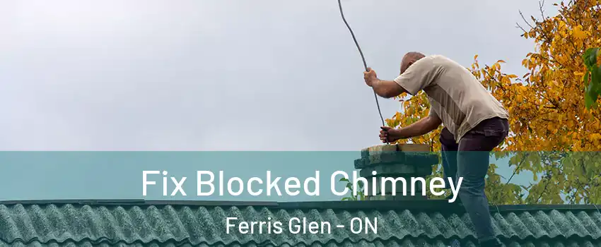  Fix Blocked Chimney Ferris Glen - ON
