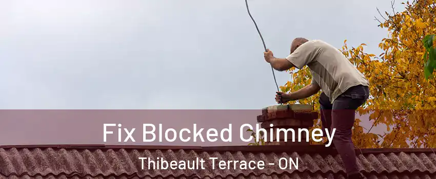  Fix Blocked Chimney Thibeault Terrace - ON