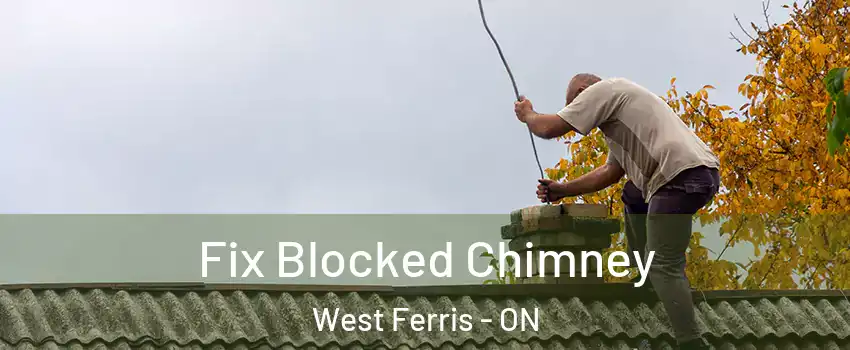  Fix Blocked Chimney West Ferris - ON