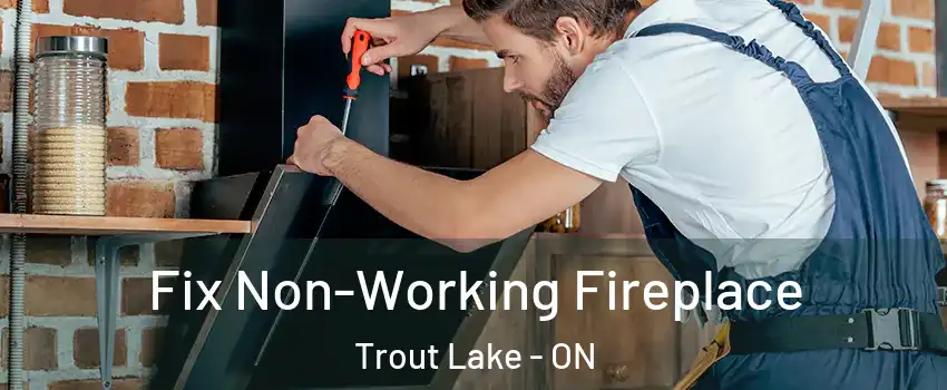  Fix Non-Working Fireplace Trout Lake - ON