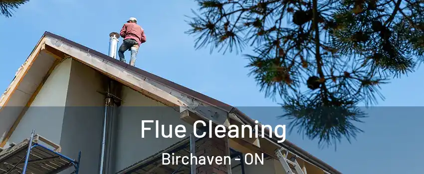  Flue Cleaning Birchaven - ON