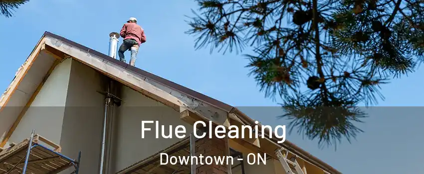  Flue Cleaning Downtown - ON