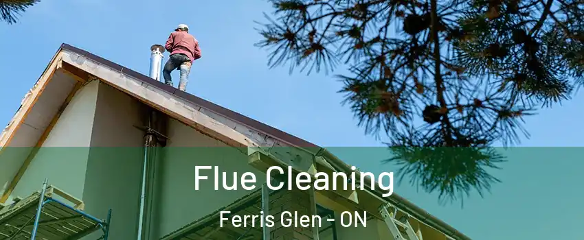  Flue Cleaning Ferris Glen - ON