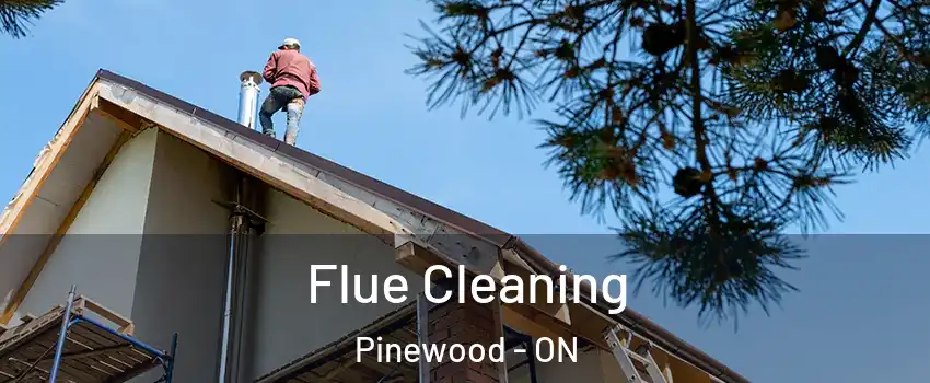  Flue Cleaning Pinewood - ON